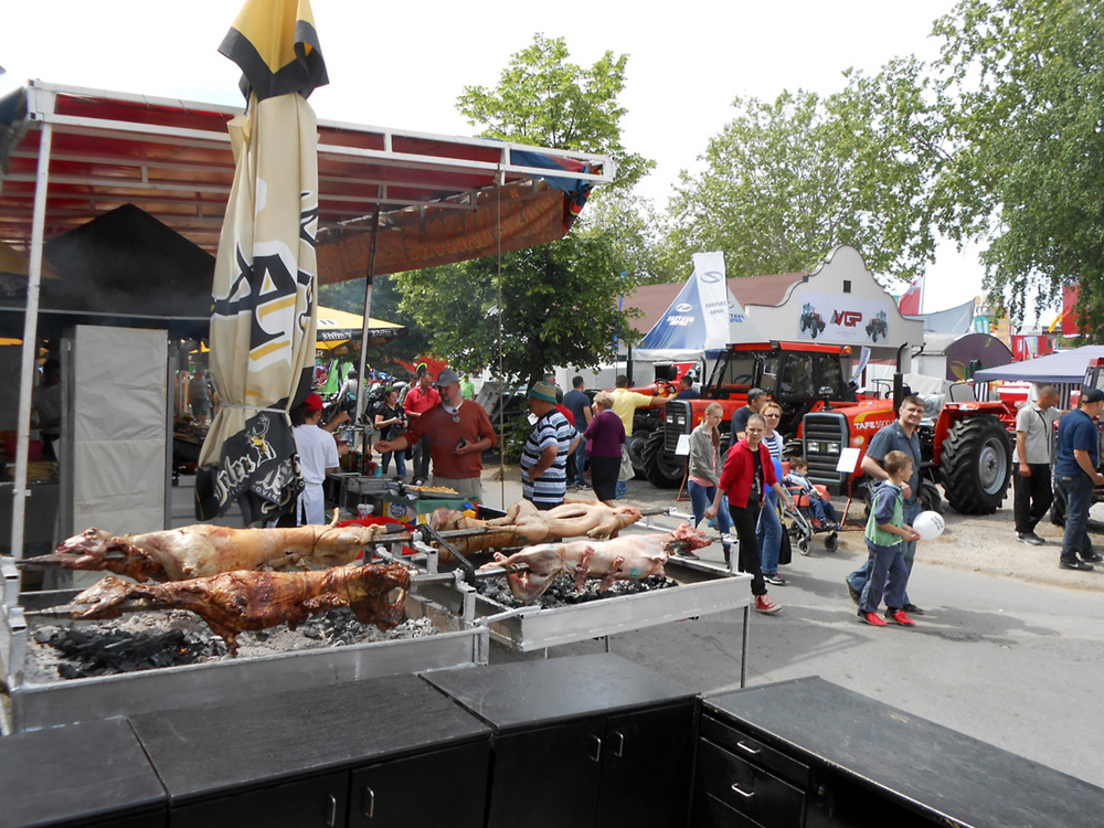 6-na-sajmu-se-uvek-i-dobro-jelo