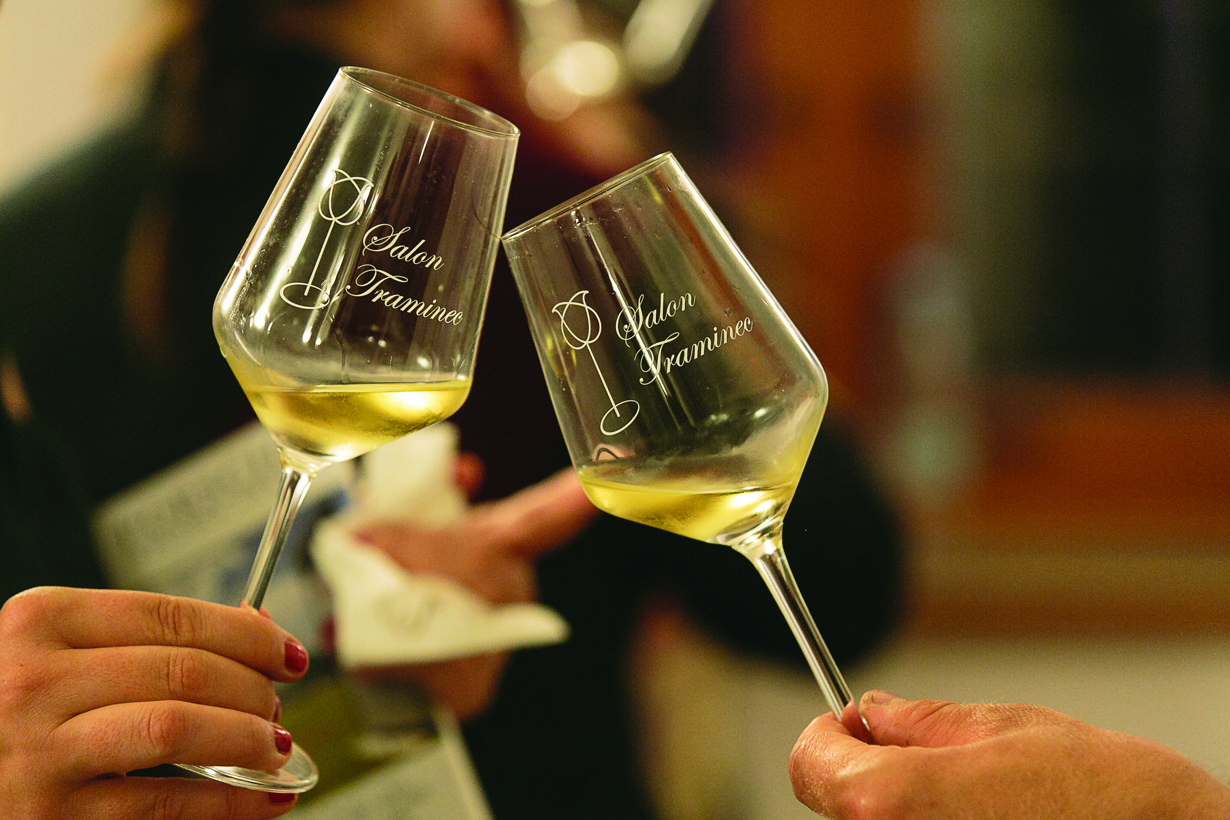 kozarec-salon-traminec