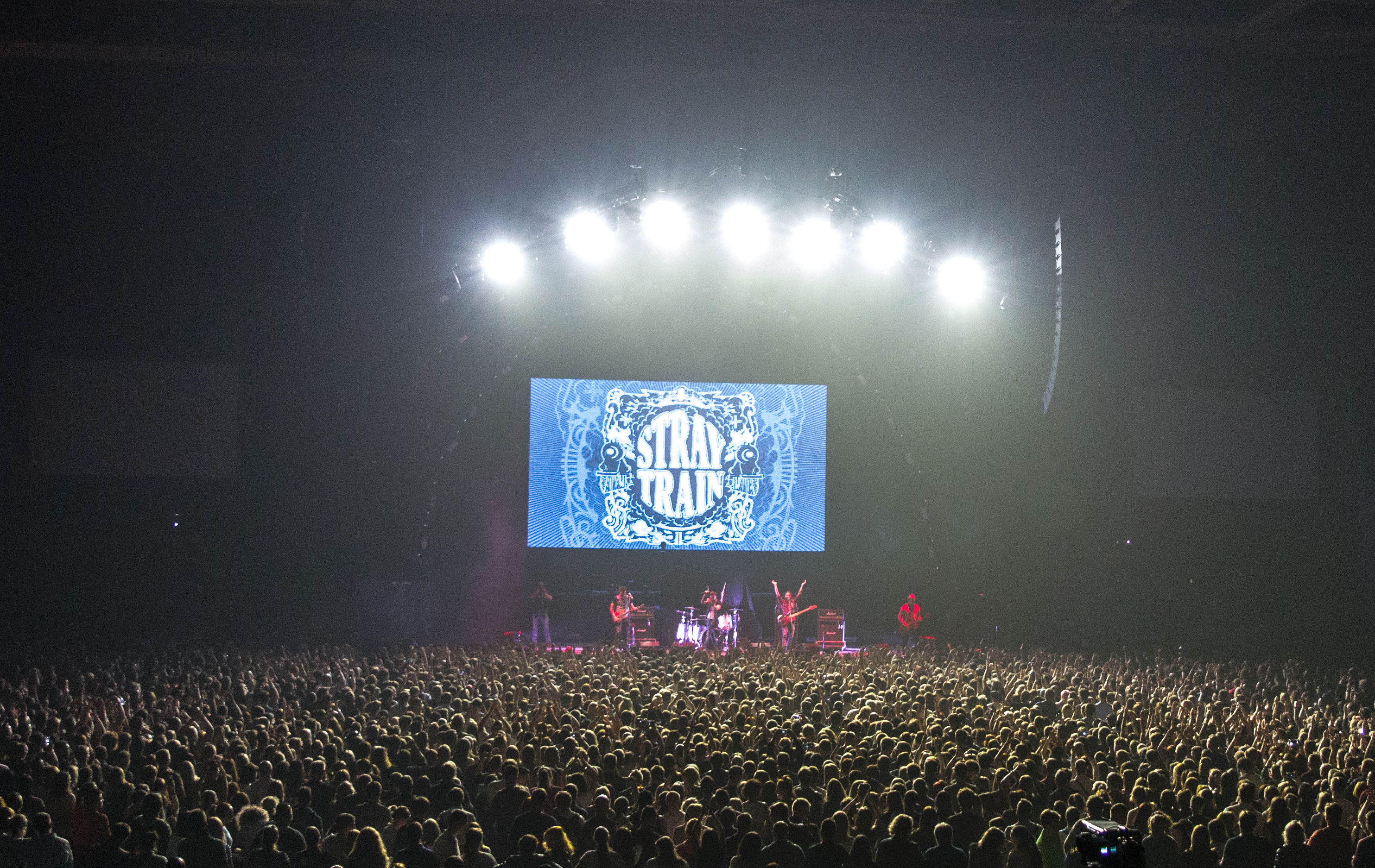 stray-train-foto-nika-brunet