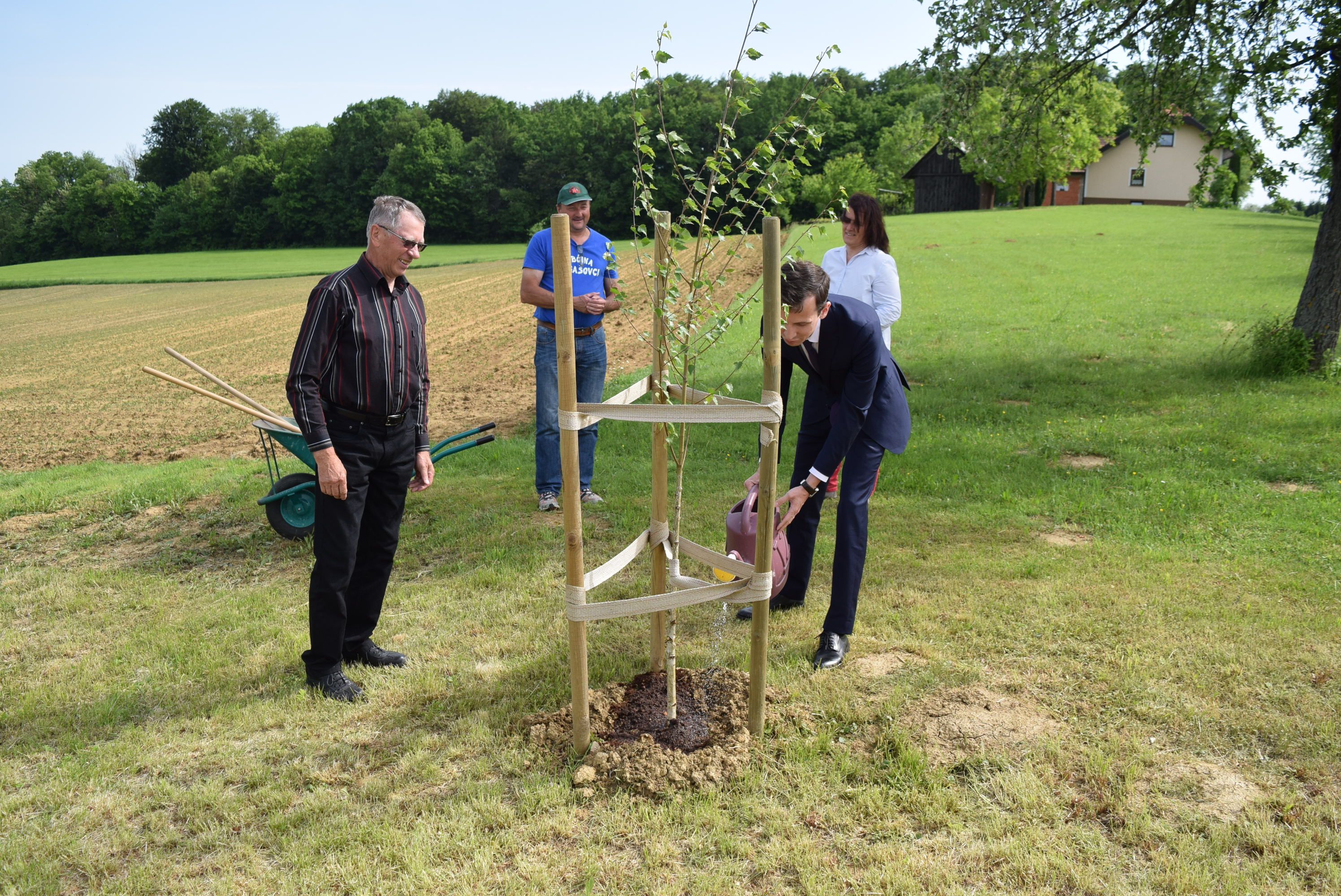 simbolicna-zasaditev-breze