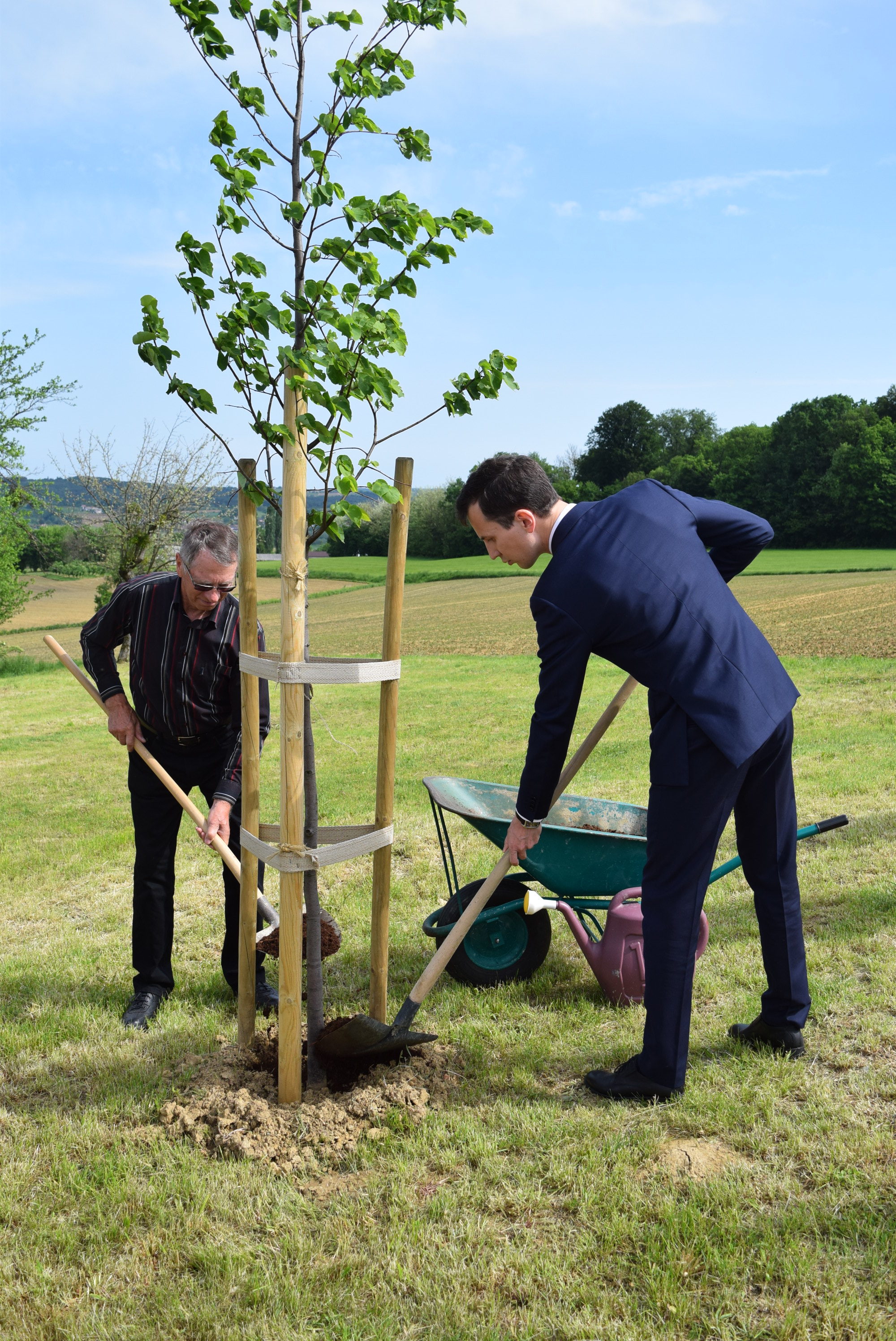 simbolicna-zasaditev-lipe