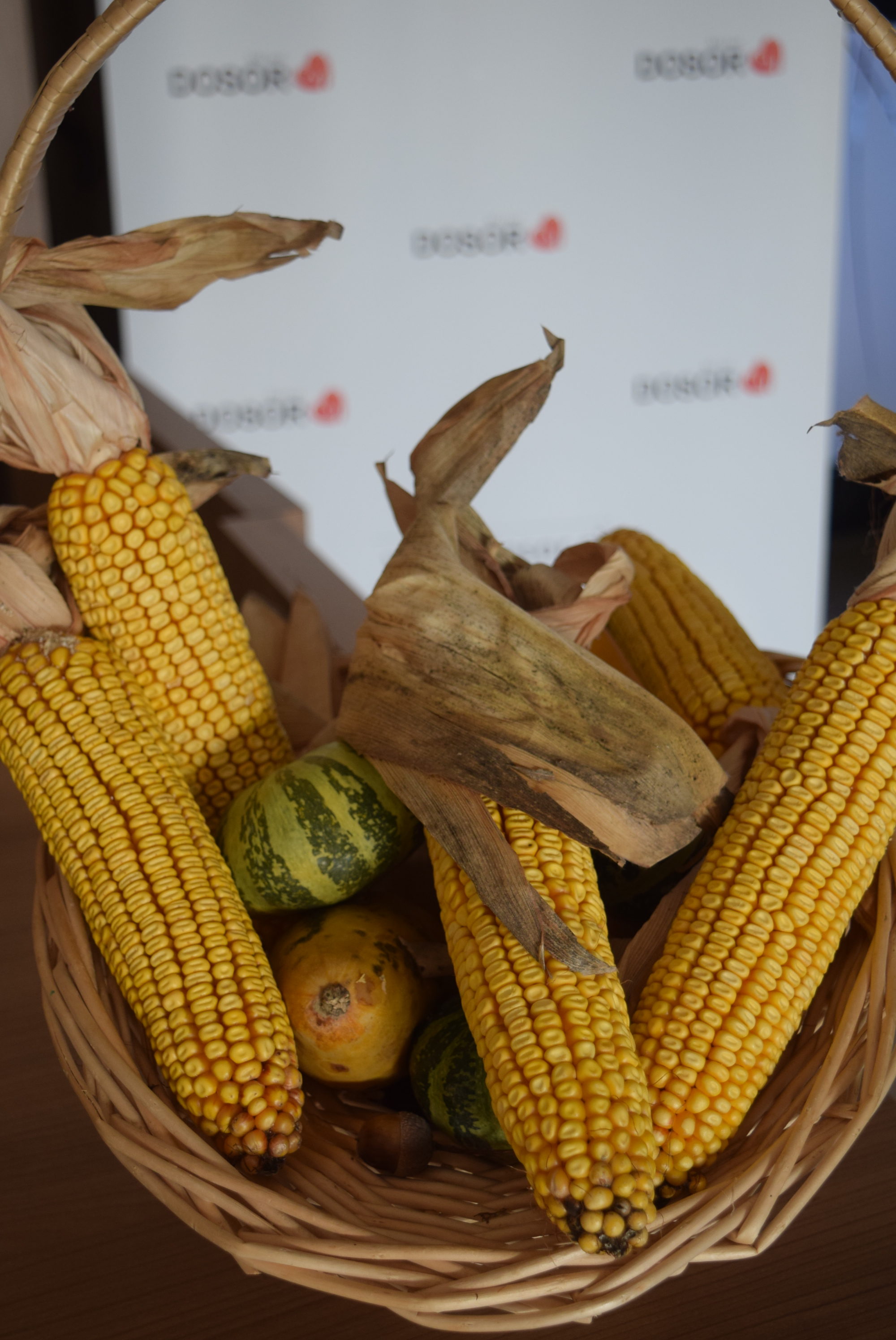 vabilo-na-jesenski-ples