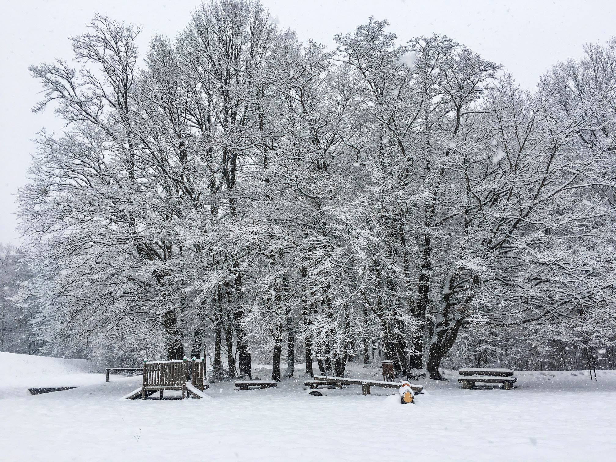 okolica-jezera-pozimi