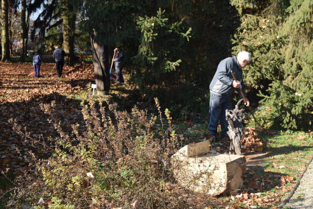grabljanje-v-vrtu