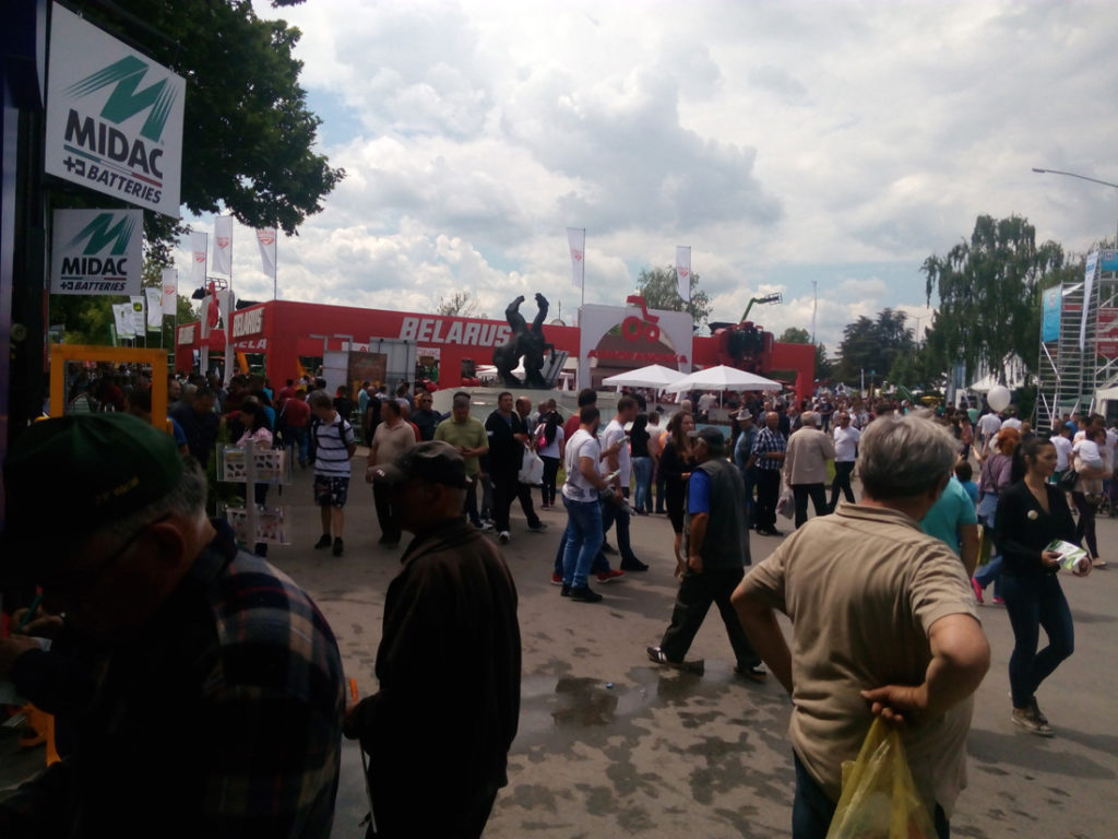 7-guzva-je-uobicajena-slika