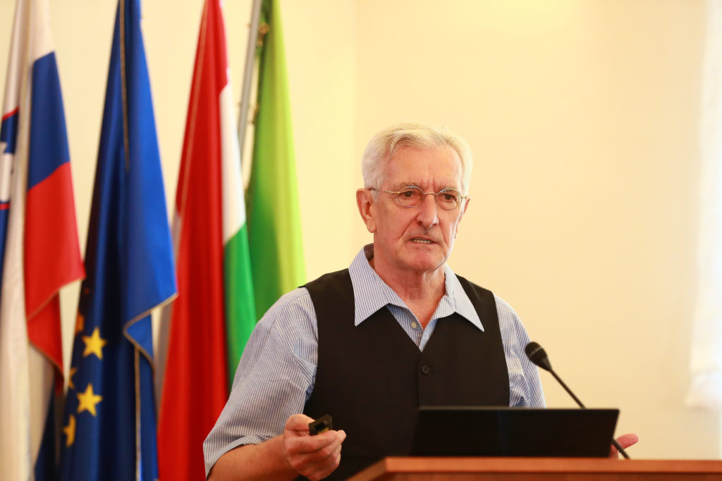 walter_pfluger_mediaspeed