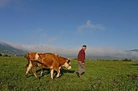 Selo proroka – Turistička Organizacija Užica